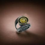 Cargar imagen en el visor de la galería, Anillo LLUMDOR Or
